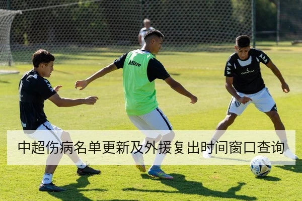 中超伤病名单更新及外援复出时间窗口查询