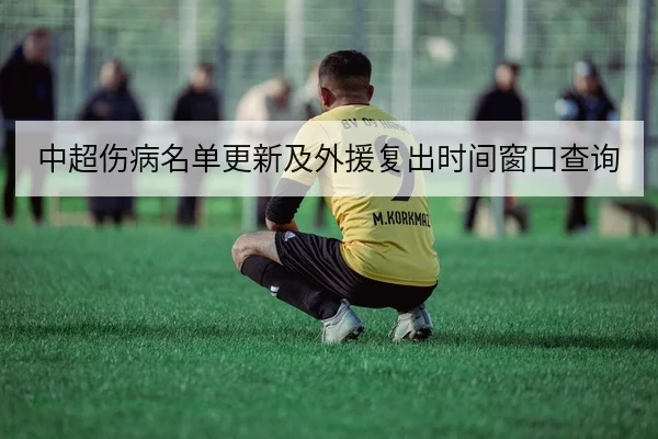 中超伤病名单更新及外援复出时间窗口查询