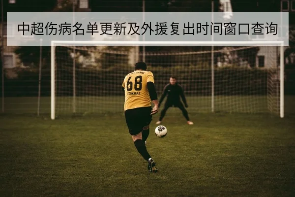 中超伤病名单更新及外援复出时间窗口查询